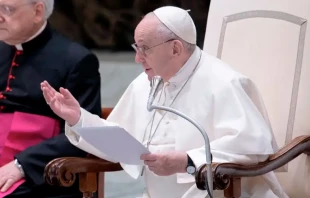 Papa Francisco. Cru00e9dito: Daniel Ibu00e1u00f1ez (ACI) 