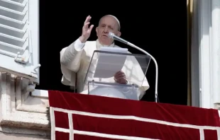 Papa Francisco. Cru00e9dito: Vatican Media 