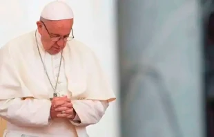 Papa Francisco. Cru00e9dito: Daniel Ibu00e1u00f1ez (ACI) 