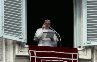 El Papa pregunta a los peregrinos de la Plaza de San Pedro. Foto: Alexey Gotovsky  