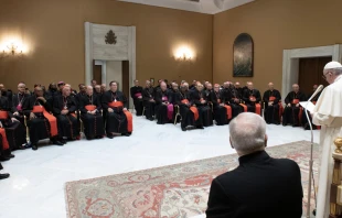 El Papa Francisco en la Asamblea Plenaria de la Congregaciu00f3n para el Culto Divino y la Disciplina de los Sacramentos. Foto: Vatican Media 