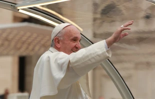 El Papa en la Audiencia General. Foto: Daniel Ibu00e1u00f1ez / ACI Prensa 