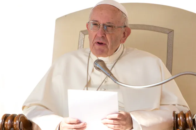 Papa Francisco en la Audiencia General: Los cristianos no se rinden nunca