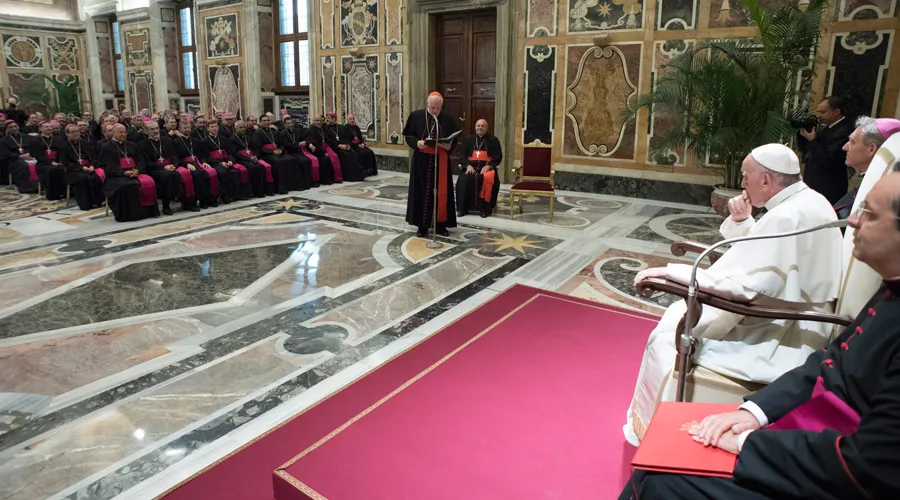 El Papa Francisco durante la audiencia. Foto: L'Osservatore Romano