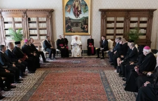 El Papa Francisco con parlamentarios de Repu00fablica Checa y Eslovaquia. Foto: Vatican Media 