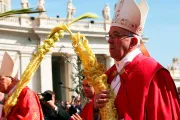 El Papa en Domingo de Ramos: Jesús no es un profeta “new age” sino el Mesías verdadero