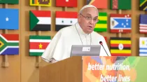 El Papa durante su visita a la FAO en 2016. Foto: FAO