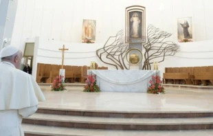 Imagen referencial. Papa Francisco en Santuario de la Divina Misericordia en 2016. Foto: Vatican Media 