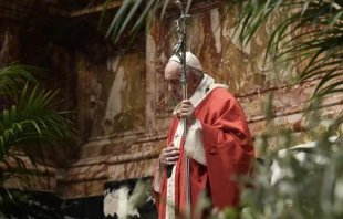 Papa Francisco en el Domingo de Ramos. Foto: Vatican Media 