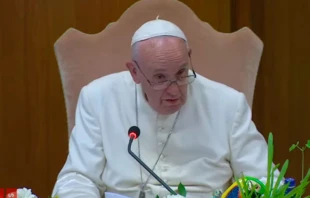 El Papa Francisco en el Aula del Su00ednodo. Captura Youtube 