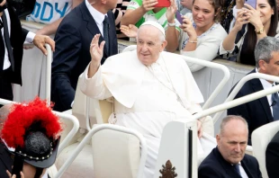 El Papa Francisco este domingo en la Plaza de San Pedro. Cru00e9dito: Daniel Ibu00e1u00f1ez / ACI Prensa 