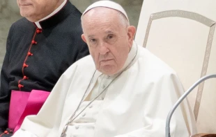 Papa Francisco. Cru00e9dito: Daniel Ibu00e1u00f1ez / ACI Prensa 