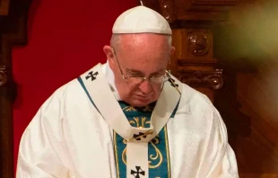 Papa Francisco. Cru00e9dito: Vatican Media 