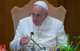 El Papa Francisco en el Aula del Su00ednodo. Captura Youtube 