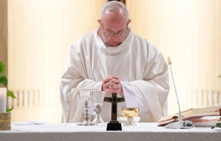 El Papa durante la Misa. Foto: L'Osservatore Romano 