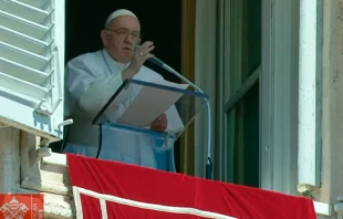 El Papa Francisco en el rezo del u00c1ngelus de este domingo en el Vaticano. Cru00e9dito: Captura Youtube Vatican Media 