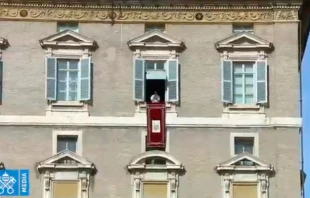 El Papa se dirige a los fieles desde el Palacio Apostu00f3lico. Foto: Captura de Youtube 