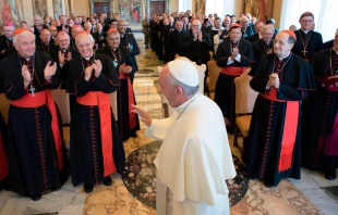 El Papa saluda a los participantes en la audiencia. Foto: L'Osservatore Romano 