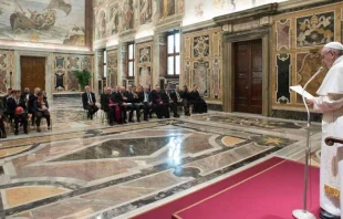 El Santo Padre habla ante los nadadores. Foto: L'Osservatore Romano 