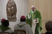 Papa Francisco: No somos animales, somos hijos de Dios bautizados