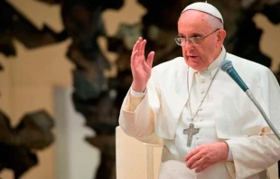 El Papa Francisco durante una audiencia general / Foto: L'Osservatore Romano 