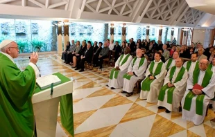 Papa Francisco / Foto: L'Osservatore Romano 