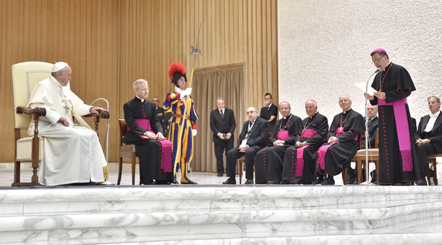El Papa Francisco durante la audiencia en el Aula Pablo VI. Foto: L'Osservatore Romano