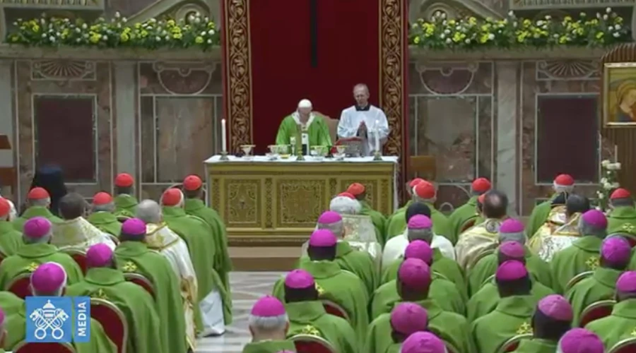 Papa Francisco en la Misa de clausura del encuentro de protecciÃ³n de menores. Foto: Captura YouTube