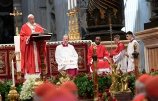 El Papa Francisco durante la celebraciu00f3n de la Solemnidad de San Pedro y San Pablo / Foto: L'Osservatore Romano 
