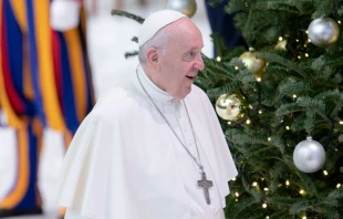 El Papa Francisco en el Aula Pablo VI en el Vaticano junto al u00e1rbol de Navidad. Cru00e9dito: Daniel Ibu00e1u00f1ez / ACI Prensa 