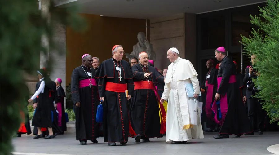 El Papa Francisco saluda a los Padres Sinodales. Foto: Vatican Media