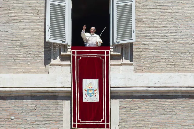 Papa Francisco: “Me preocupa que no sean muchos los que luchan por la vida"
