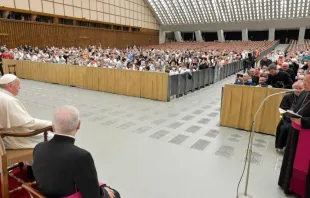 Papa Francisco durante el encuentro con los peregrinos de la Archidiócesis de Lodz (Polonia). Crédito: Vatican News.  