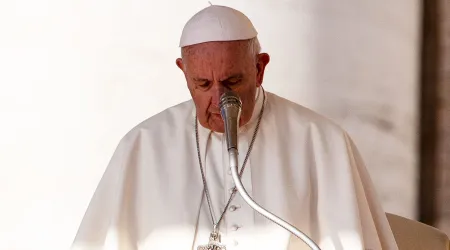 Papa Francisco: No nos resignemos al demonio de la guerra ni a la locura del terrorismo