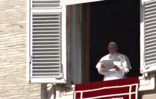 El Papa Francisco habla a los fieles congregados en el Vaticano. Foto: Miguel Pu00e9rez / ACI Prensa 