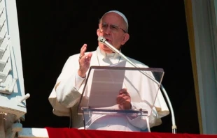Papa Francisco / Foto: L'Osservatore Romano 