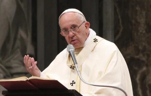 El Papa Francisco / Foto: Alexey Gotovsky 