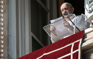 El Papa Francisco en el rezo del u00c1ngelus. Foto: Vatican Media 