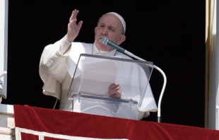 El Papa Francisco en el rezo del u00c1ngelus. Foto: Vatican Media 