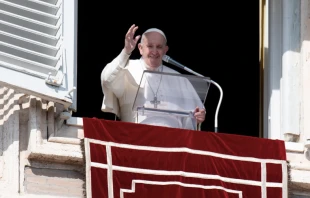 Papa Francisco en el rezo del u00c1ngelus. Foto: Vatican Media 