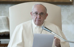 El Papa Francisco en la Audiencia General Foto: Vatican Media 