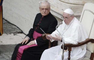 El Papa Francisco durante la Audiencia General. Foto: Pablo Esparza / ACI Prensa 