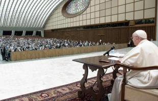 Papa Francisco en el Aula Pablo VI del Vaticano. Foto: Vatican Media 