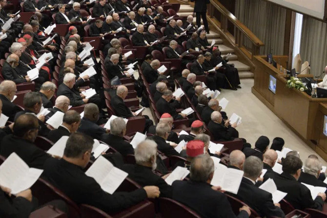El Papa Francisco aborda el rol de los laicos en la reunión con los Cardenales del mundo 