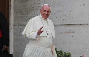 Papa Francisco / Foto: Daniel Ibau00f1ez (ACI Prensa) 