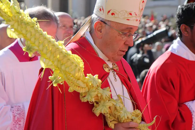 Papa Francisco en Domingo de Ramos: El estilo del cristiano es la humildad