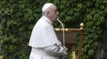 El Papa Francisco en los jardines vaticanos. Foto: Vatican Media
