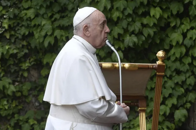 Mensaje del Papa Francisco: Jornada Mundial de Oración por el Cuidado de la Creación 2020