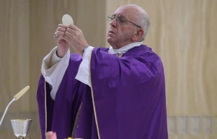 El Papa Francisco en la Misa en la capilla de la Casa Santa Marta. Foto: L'Osservatore Romano 