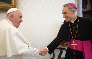 El Papa recibe en audiencia privada al Arzobispo Georg Gänswein 